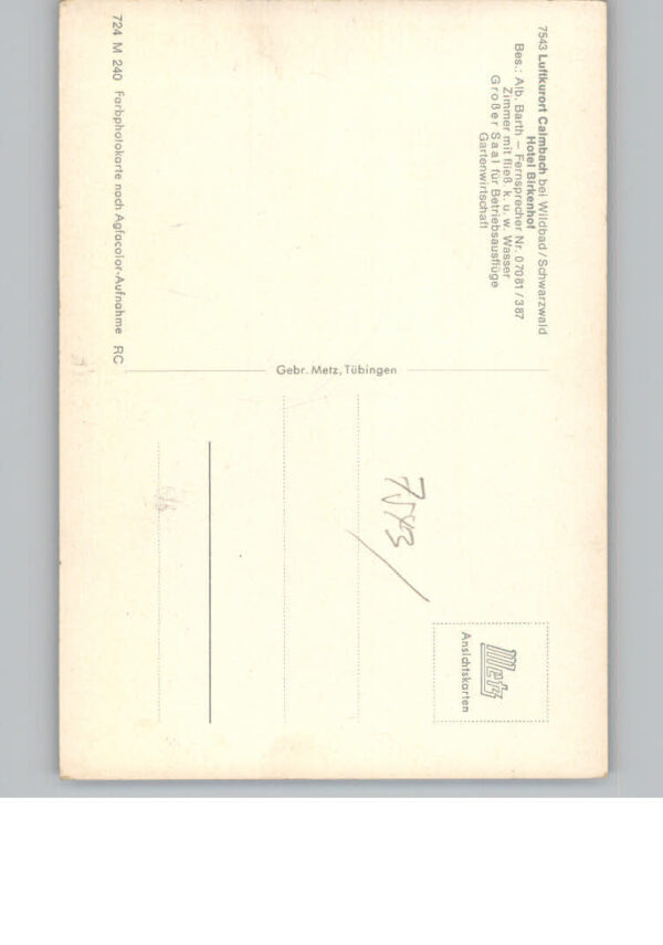 Calmbach Enz Hotel Birkenhof – Bild 2