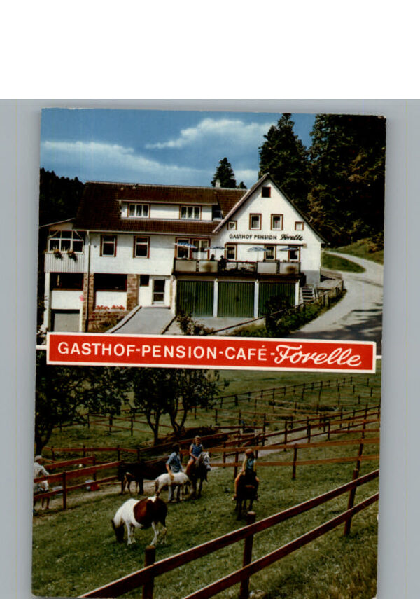 Hundsbach Forbach Gasthof-Pension-Cafe Forelle