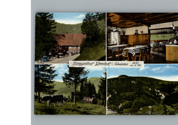 Seebach Ortenaukreis Gasthof Pension Kernhof