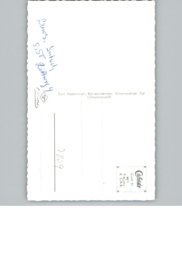 Simonswald Fliegeraufnahme – Bild 2