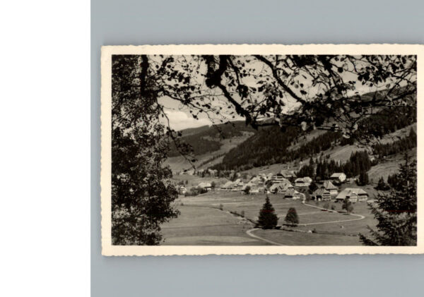 Menzenschwand
