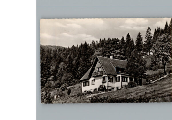 Menzenschwand Haus am Berg