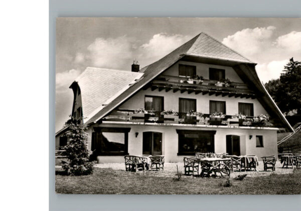 Feldberg Schwarzwald Hotel Ponyhof