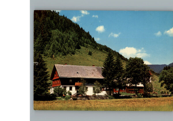 Menzenschwand Gasthaus Pension Forellenhof