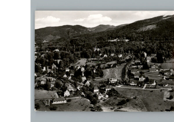 Badenweiler Fliegeraufnahme