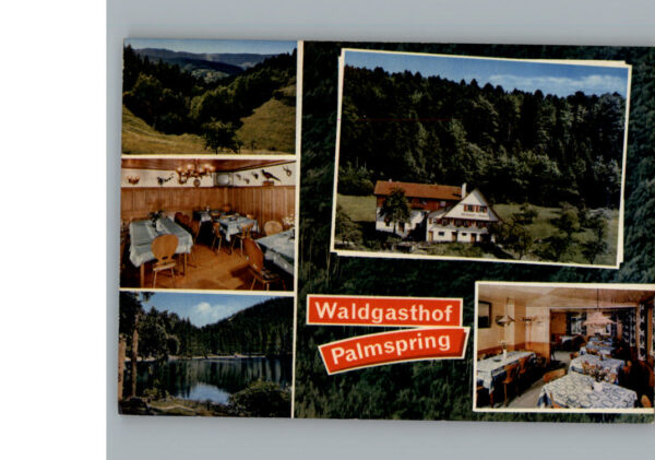 Bad  Peterstal Gasthof Pension Palmspring