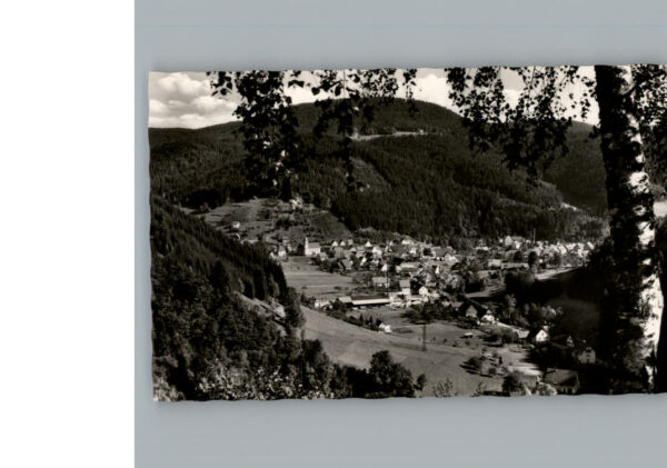 Schenkenzell