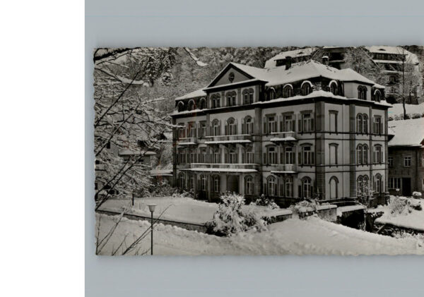 Bad  Rippoldsau Sanatorium Fuerstenbau