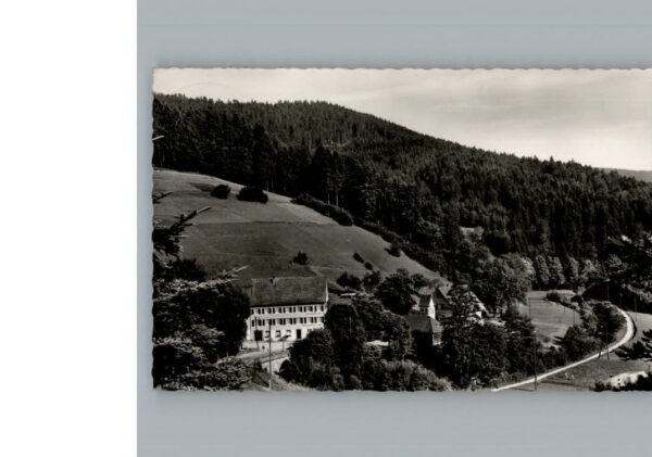 Bad  Rippoldsau Hotel Kloesterle Hof
