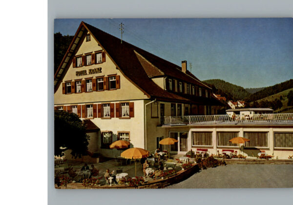Bad  Rippoldsau Hotel Kranz