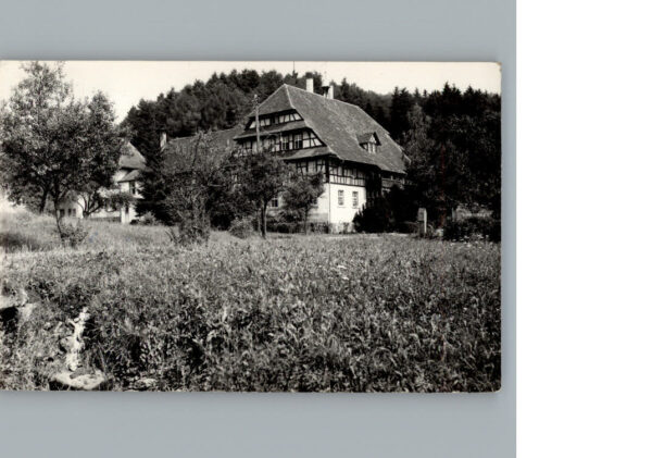 Seelbach Schutter