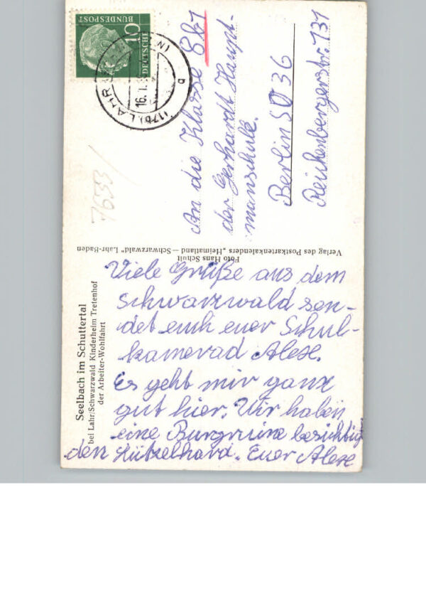 Seelbach Schutter – Bild 2