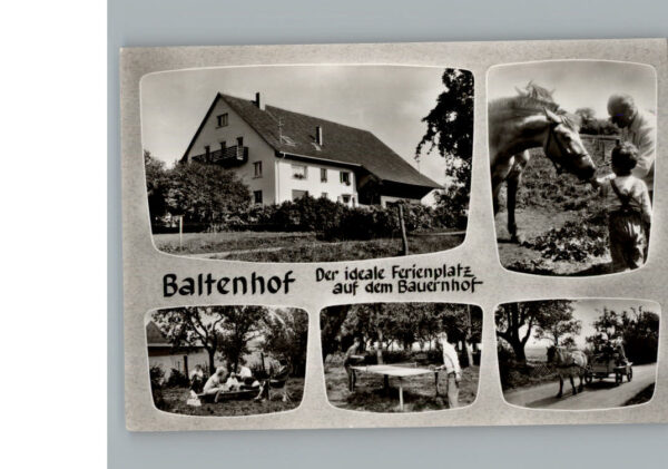 Donaueschingen Baltenhof