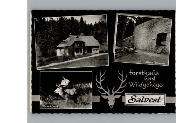 Bad Duerrheim Gasthaus Salvest