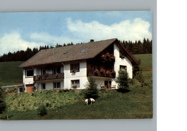 Guetenbach Pension  Haus Dorer