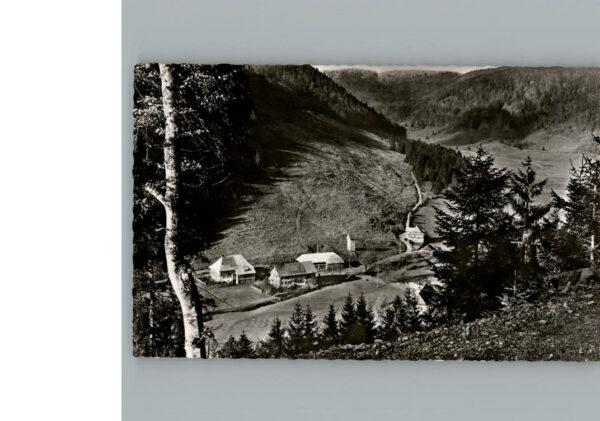 Menzenschwand