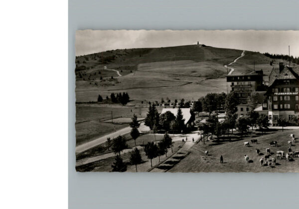 Feldberg Schwarzwald Hotel Feldberger Hof