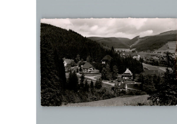 Titisee-Neustadt