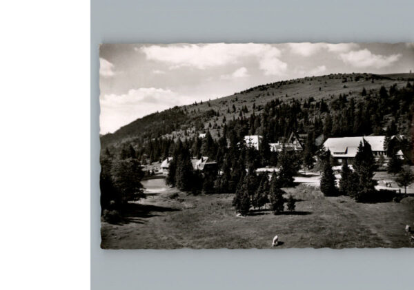 Feldberg Schwarzwald