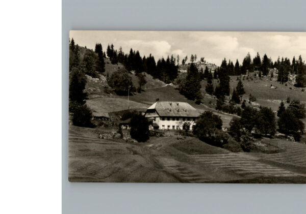 Blasiwald