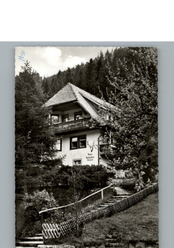 Menzenschwand Pension Haus Hubertus