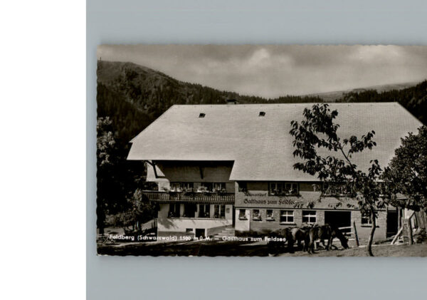 Feldberg Schwarzwald Gasthaus zum Feldsee