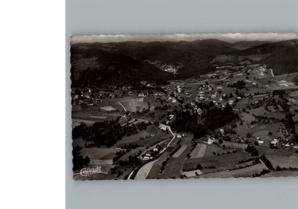 Haeusern Schwarzwald Fliegeraufnahme