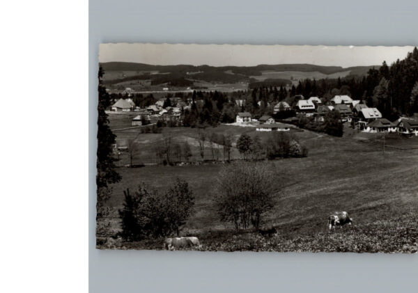 Hinterzarten