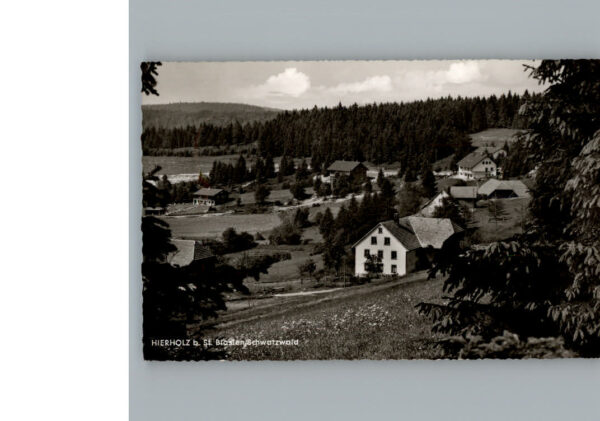 Hierholz