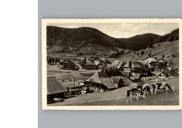 Menzenschwand