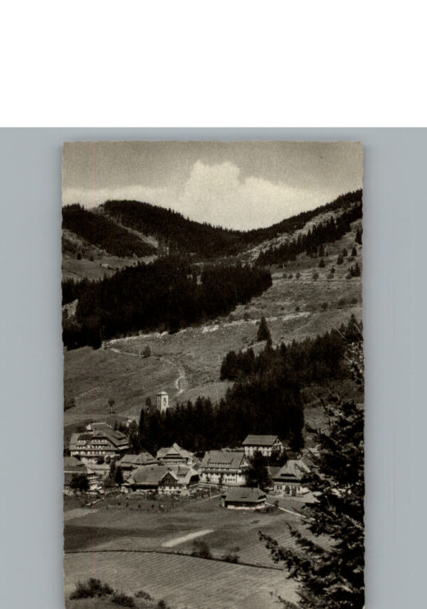 Menzenschwand