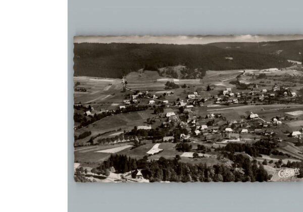 Haeusern Schwarzwald Fliegeraufnahme