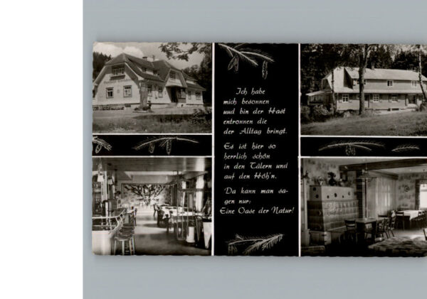 Blasiwald Pension Haus Streck Gasthaus EIsenbreche