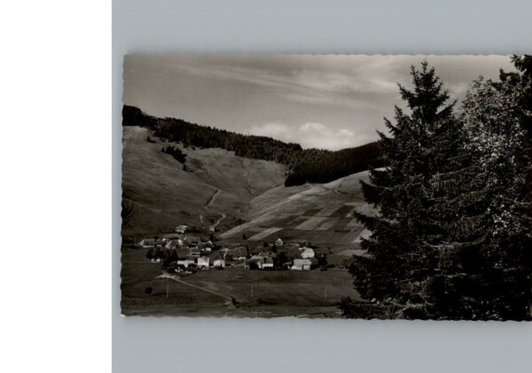 Bernau Schwarzwald