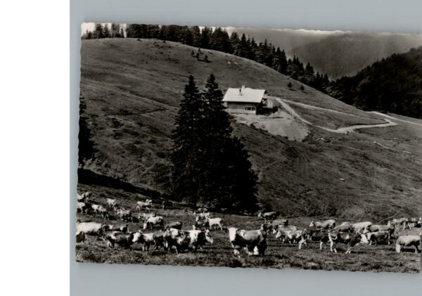 Menzenschwand