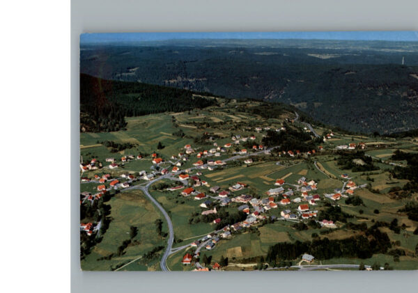 Haeusern Schwarzwald Fliegeraufnahme