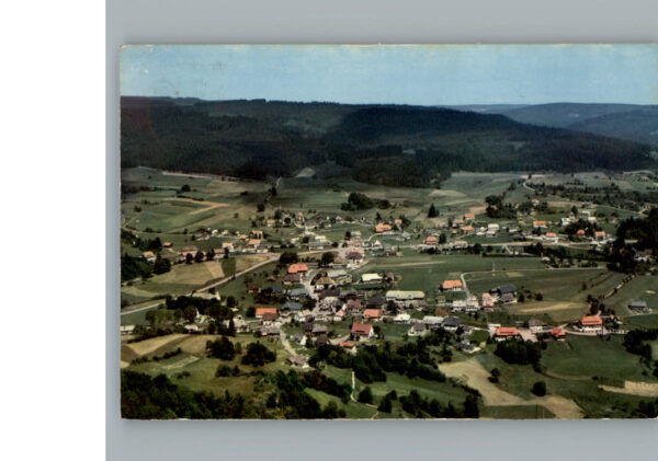 Haeusern Schwarzwald Fliegeraufnahme