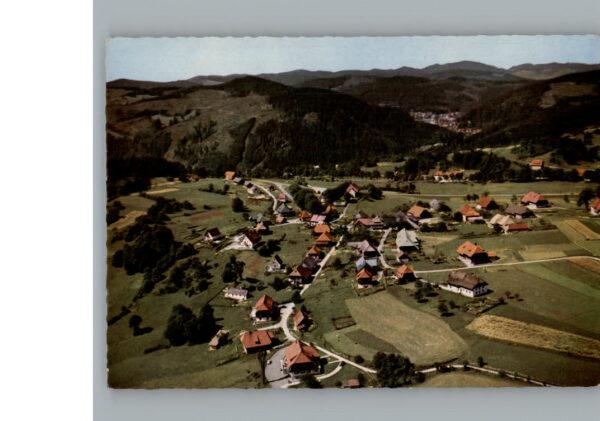 Haeusern Schwarzwald Fliegeraufnahme