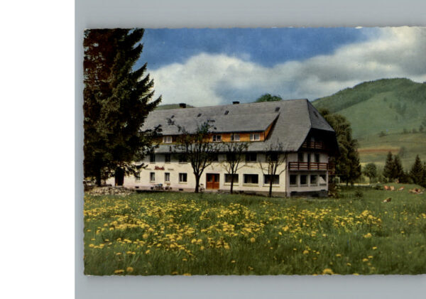 Bernau Schwarzwald Gasthof Pension Roessle