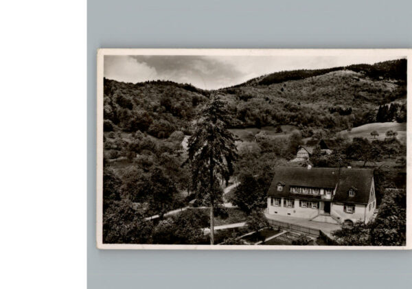 Sehringen Gasthaus zum gruenen Baum