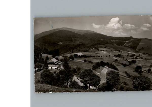 Schoenau Schwarzwald Gasthof Pension Haldenhof
