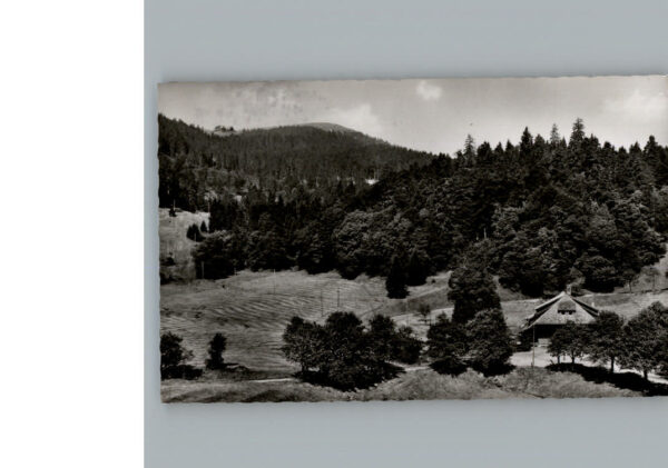 Belchen Baden Hotel Belchenhaus