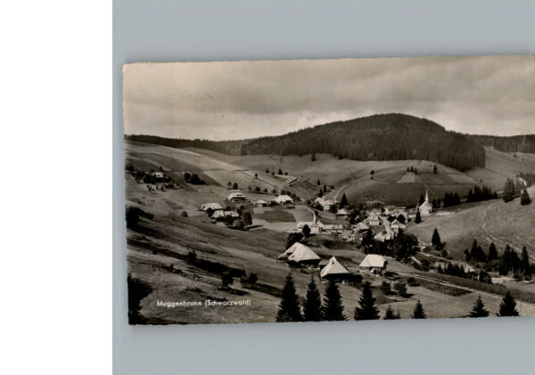 Muggenbrunn