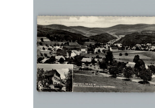 Sallneck Gasthaus zum Hirschen