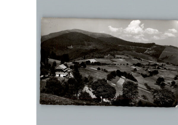 Schoenau Schwarzwald Gasthaus Pension Haldenhof