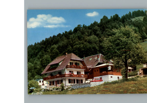 Todtmoos Gasthaus Pension zum Wildbach
