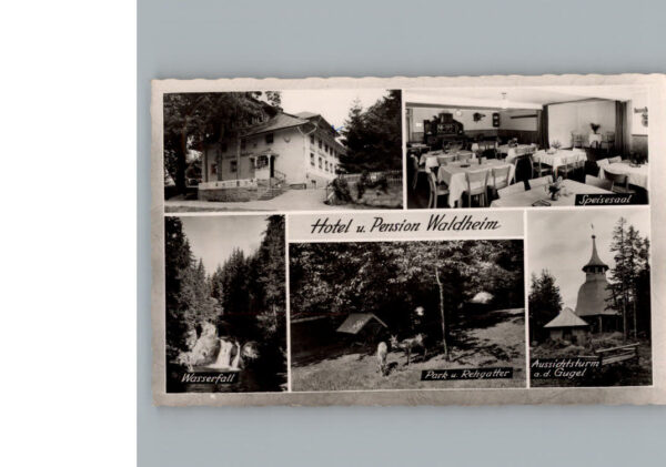 Herrischried Hotel Waldheim