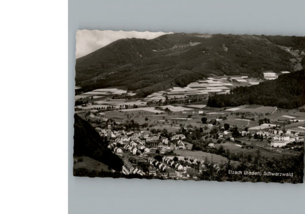 Elzach