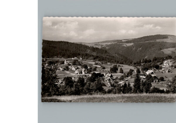 Haeusern Schwarzwald