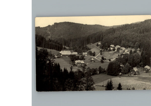 Hinterzarten